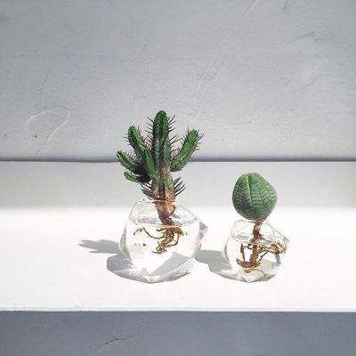 亚搏全站APP官网下载